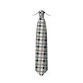 Plaid, checkered silk tartan tie template. Easy editable colors - vector.