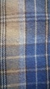 Plaid cloth