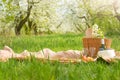 Plaid, juice with apples and a bag for a picnic, under a warm sun, in blossoming spring gardens. The concept of a picnic, summer a