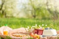 Plaid, juice with apples and a bag for a picnic, under a warm sun, in blossoming spring gardens. The concept of a picnic, summer a