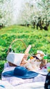 Plaid, juice and a basket for a picnic, under a warm sun