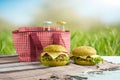 Plaid, juice, burger, and a picnic bag, under the warm sun, in the blossoming spring gardens. Picnic concept, summer and rest
