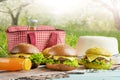 Plaid, juice, burger, and a picnic bag, under the warm sun, in the blossoming spring gardens. Picnic concept, summer and rest