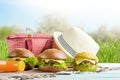 Plaid, juice, burger, and a picnic bag, under the warm sun, in the blossoming spring gardens. Picnic concept, summer and rest