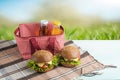 Plaid, juice, burger, and a picnic bag, under the warm sun, in the blossoming spring gardens. Picnic concept, summer and rest