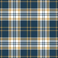 Plaid pattern herringbone texture in blue, gold, and white. Seamless tartan checked background graphic for flannel shirt, skirt.