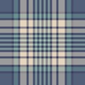 Plaid pattern for scarf or blanket in blue, green, beige. Soft colored large herringbone textured tartan check graphic for spring.