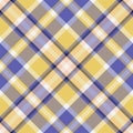 Plaid pattern vector. Check fabric texture. Seamless textile design for clothes, paper print Royalty Free Stock Photo