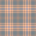 Plaid seamless pattern. Check fabric texture. Vector textile print Royalty Free Stock Photo