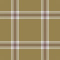 Plaid seamless pattern. Check fabric texture. Vector textile print Royalty Free Stock Photo