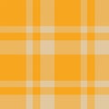 Plaid seamless pattern in orange. Check fabric texture. Vector textile print Royalty Free Stock Photo