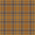 Plaid seamless pattern in orange. Check fabric texture. Vector textile print Royalty Free Stock Photo