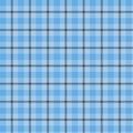 plaid tartar or tart pattern