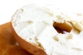 Plain bagel cut in half and spread with cream cheese, detail.