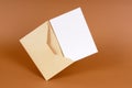 Manila brown envelope, blank letter or message card, copy space Royalty Free Stock Photo