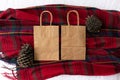 Plain blank brown paper bag front and back on a tartan background with pine cones, empty for own design