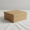 A plain brown cardboard box with a fitted lid is placed on a white surface. The box Royalty Free Stock Photo