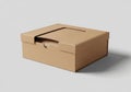 A plain, brown cardboard box with a simple design and a removable lid. It is set Royalty Free Stock Photo