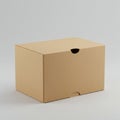 A plain, brown corrugated cardboard box with a rectangular shape is displayed Royalty Free Stock Photo