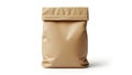 A plain brown paper bag standing upright against a white background Royalty Free Stock Photo