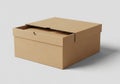 A plain cardboard box with a lid, made of brown corrugated material. The box has a Royalty Free Stock Photo