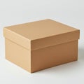 A plain, cardboard box with a secure lid, placed against a neutral background. The box Royalty Free Stock Photo