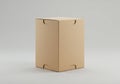 A plain cardboard box with a vertical rectangular shape stands against a neutral gray Royalty Free Stock Photo