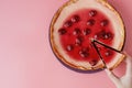 Plain cheesecake with cherry jelly on plate . Closeup view with copy space Royalty Free Stock Photo