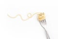 Plain cooked spaghetti pasta on fork with swirl, on white background. Royalty Free Stock Photo