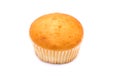 a plain cupcake or madeleine on a white background