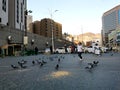Plain of doves Masjidilharam, Makkah