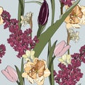 Plain floral drawing. Blooming lilac, tulip flowers in vintage style.