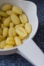 Plain Gnocchi pasta