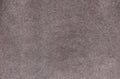 Plain gray color carpet texture. Pale smooth carpet. Velvet paper background