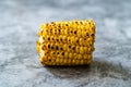 Plain Grilled Corn Cob Ready to Eat as Snack or Appetizer. Copy Space Royalty Free Stock Photo