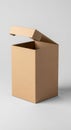 A plain, light brown cardboard box with a partially open lid is depicted. The box is tall Royalty Free Stock Photo