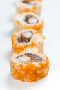 Plain mixed sushi rolls Royalty Free Stock Photo