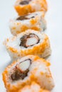 Plain mixed sushi rolls Royalty Free Stock Photo