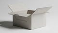 A plain, open cardboard box with flaps unfolded, set against Royalty Free Stock Photo