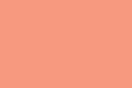 Plain peach pastel orange pink background