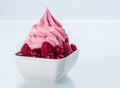 Plain Pink Frozen Yogurt on Fresh Berries Royalty Free Stock Photo