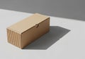 A plain, rectangular cardboard box sits on a flat, light-gray surface. Royalty Free Stock Photo