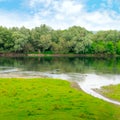 Plain river with inflows and forest Royalty Free Stock Photo