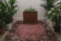 a plain room with plants and a wooden box, in the style of rug, digital minimalism, selective focus, symmetrical, white