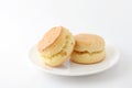 Plain scone biscuit isolated on a plate on white background