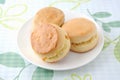 Plain scone biscuit on a plate on tablecloth