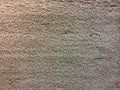 Plain Shaggy Concrete Wall Texture