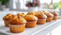 A row of golden brown freshly baked corn muffins on a white rectangular tray Keywords: muffin, corn muffin, baked Royalty Free Stock Photo
