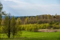 plain simple countryside spring landscape with fresh green meadows and forests Royalty Free Stock Photo