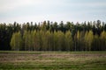 plain simple countryside spring landscape with fresh green meadows and forests Royalty Free Stock Photo